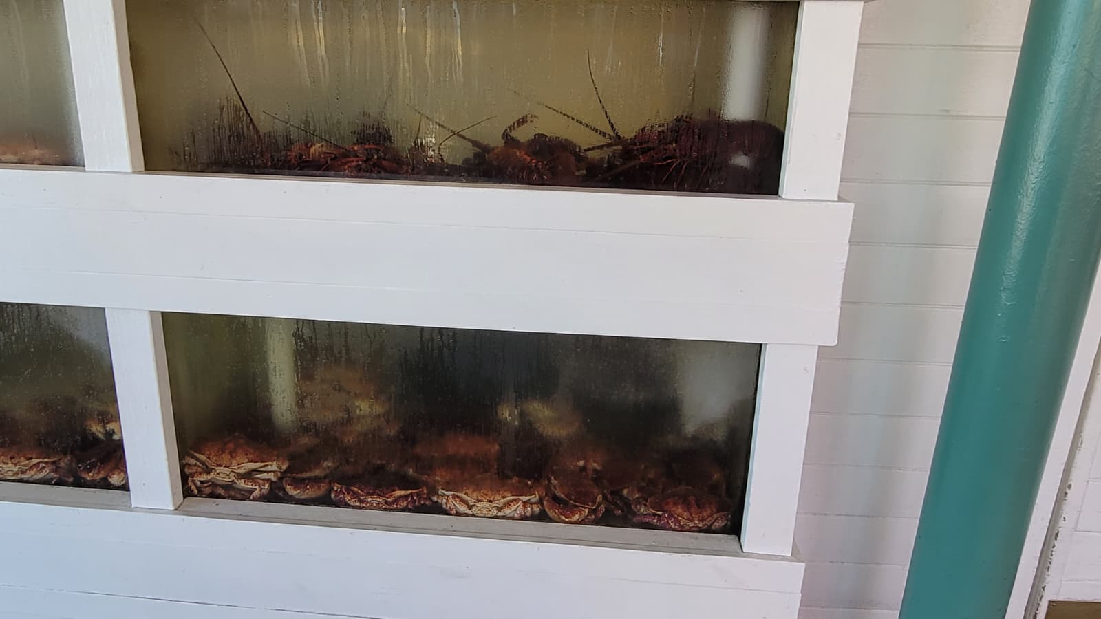 The Albright Santa Monica 7